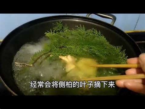 扁柏風水的禁忌|【扁柏風水的禁忌】扁柏風水禁忌：避免煞氣沖身！